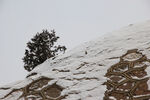山坡积雪