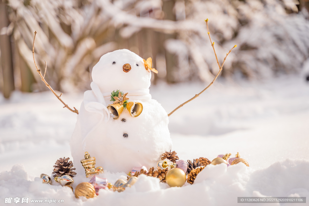 圣诞雪人摄影图