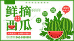 西瓜海报