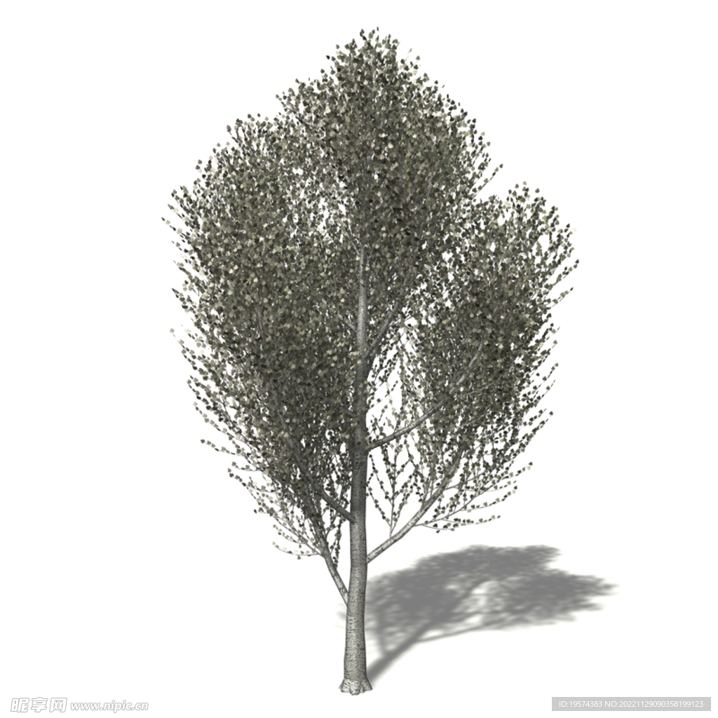  C4D模型 素材  
