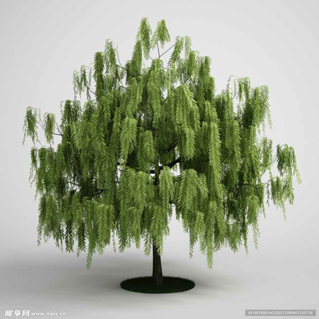 C4D模型 树木  