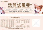 宠物优惠券