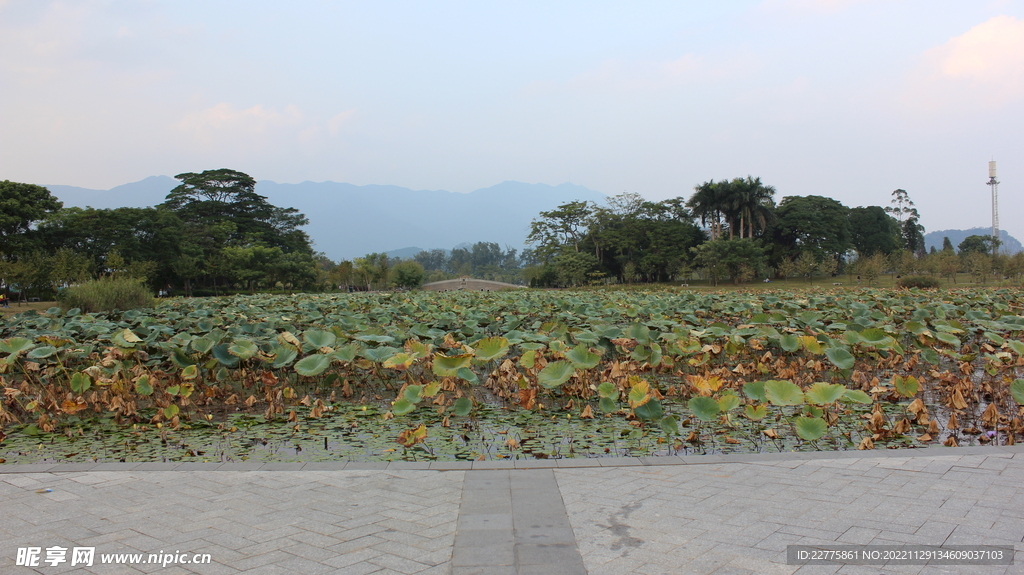 肇庆七星岩牌坊风景摄影图