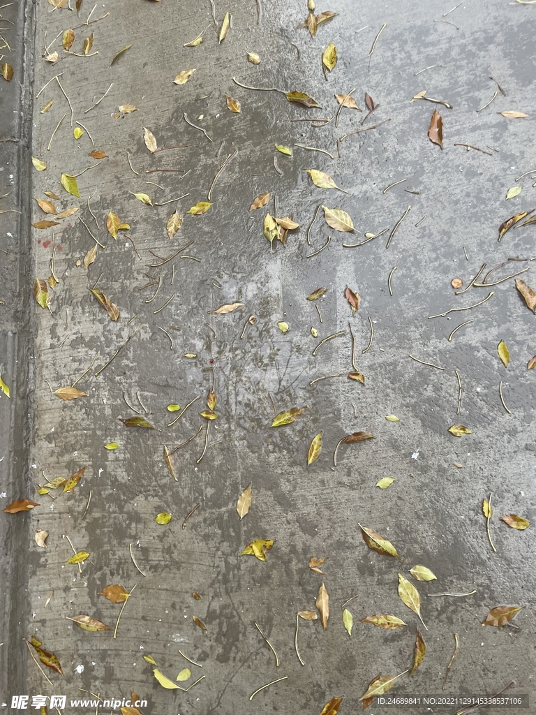 秋雨