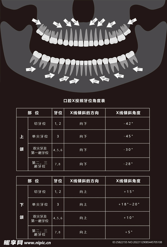 口腔