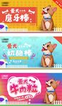 狗粮