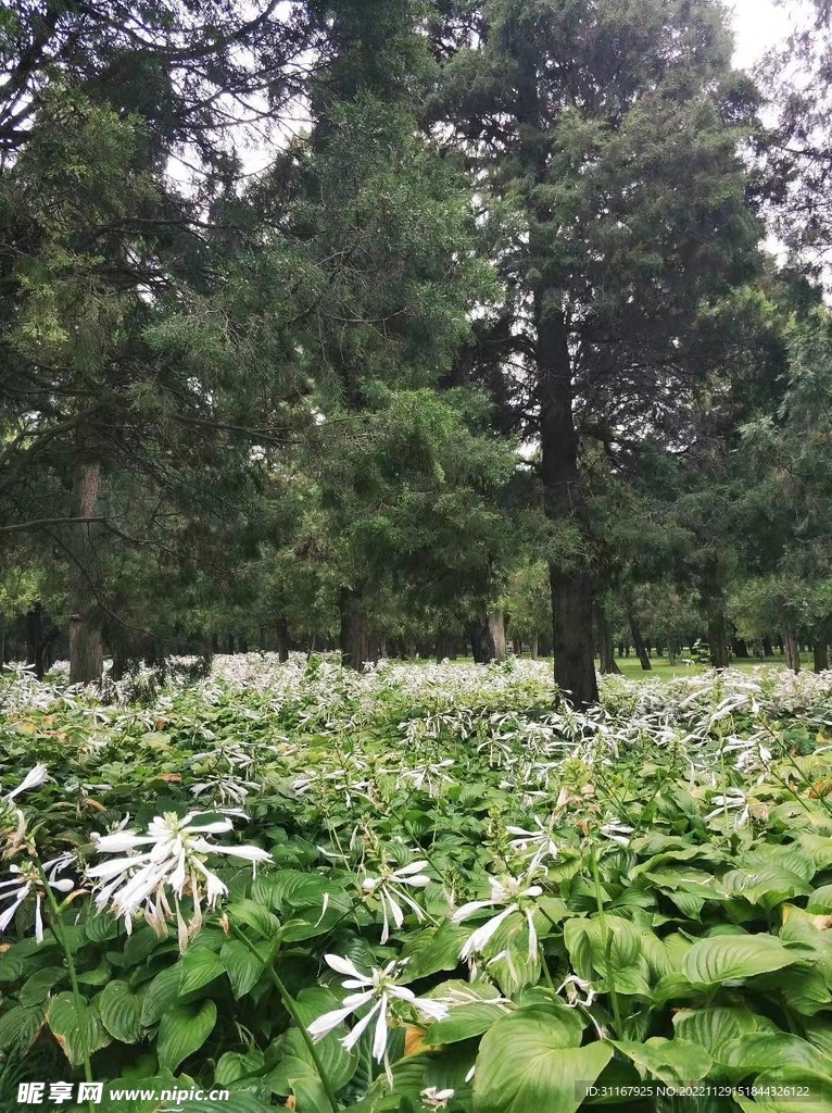 北京天坛公园