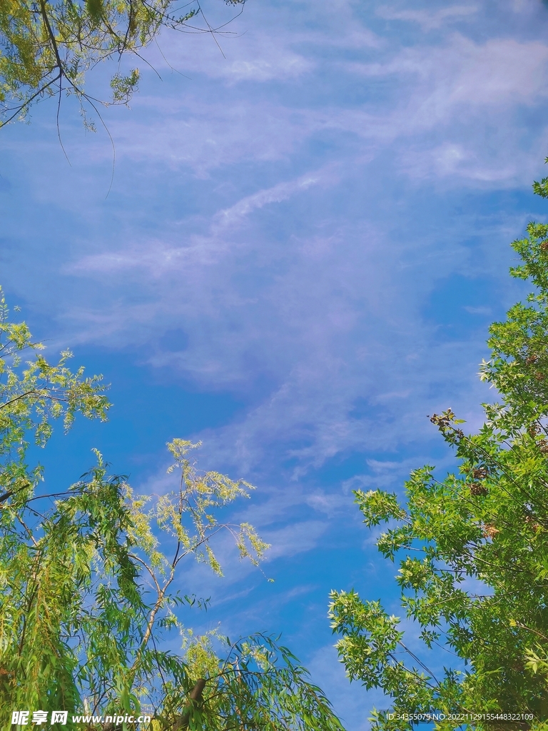 夏日晴空摄影图