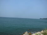 海