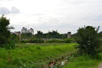 园林风景