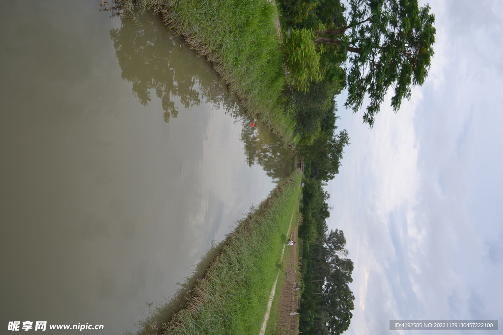 河水风景