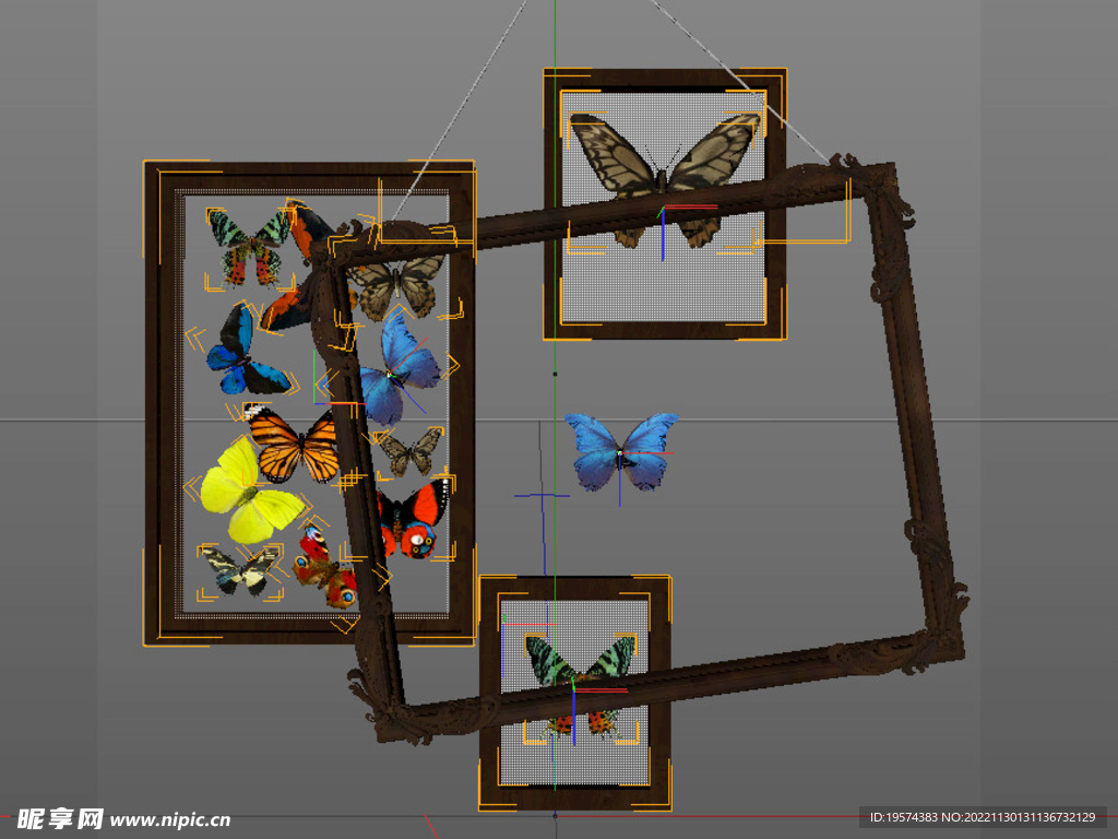 C4D模型蝴蝶标本相框