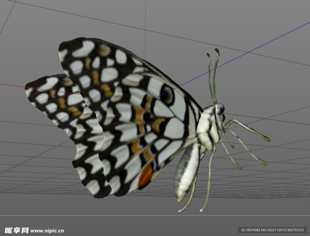 C4D模型蝴蝶