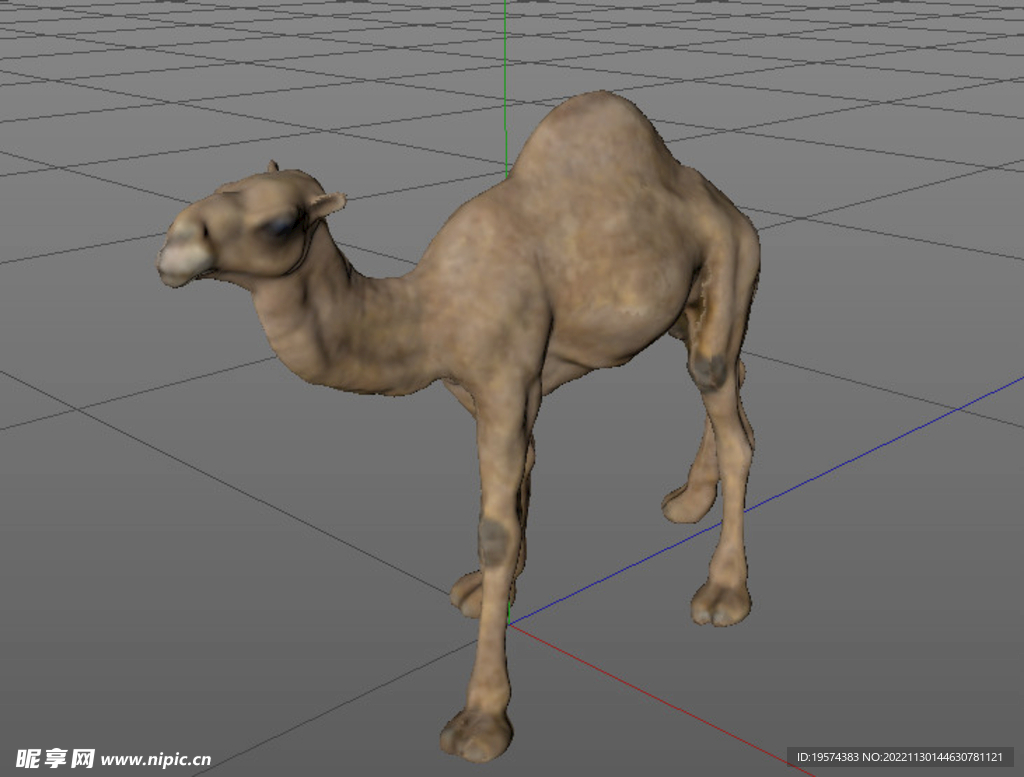 C4D模型骆驼