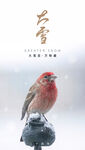 大雪海报