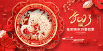 兔年 