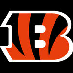 NFL辛辛那提猛虎队
