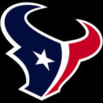 NFL休斯顿德州人队标志