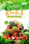 小清新有机蔬菜海报