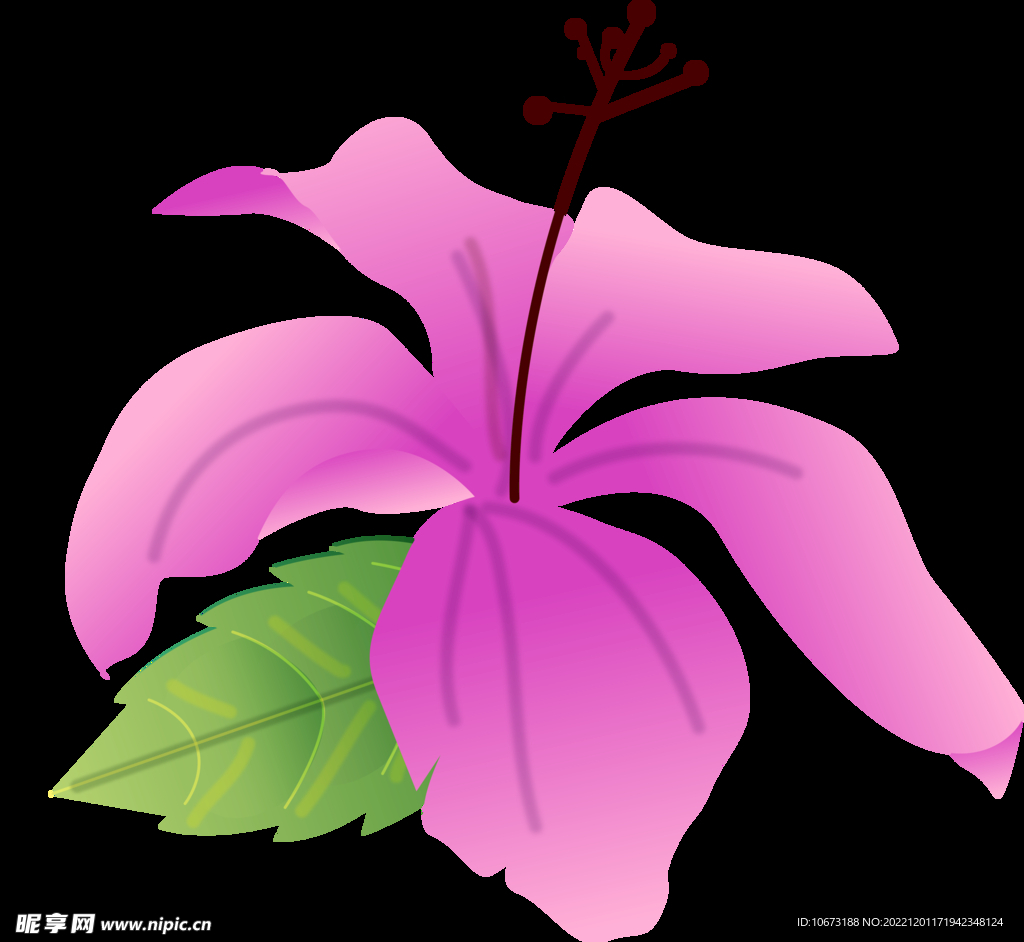卡通花免抠图