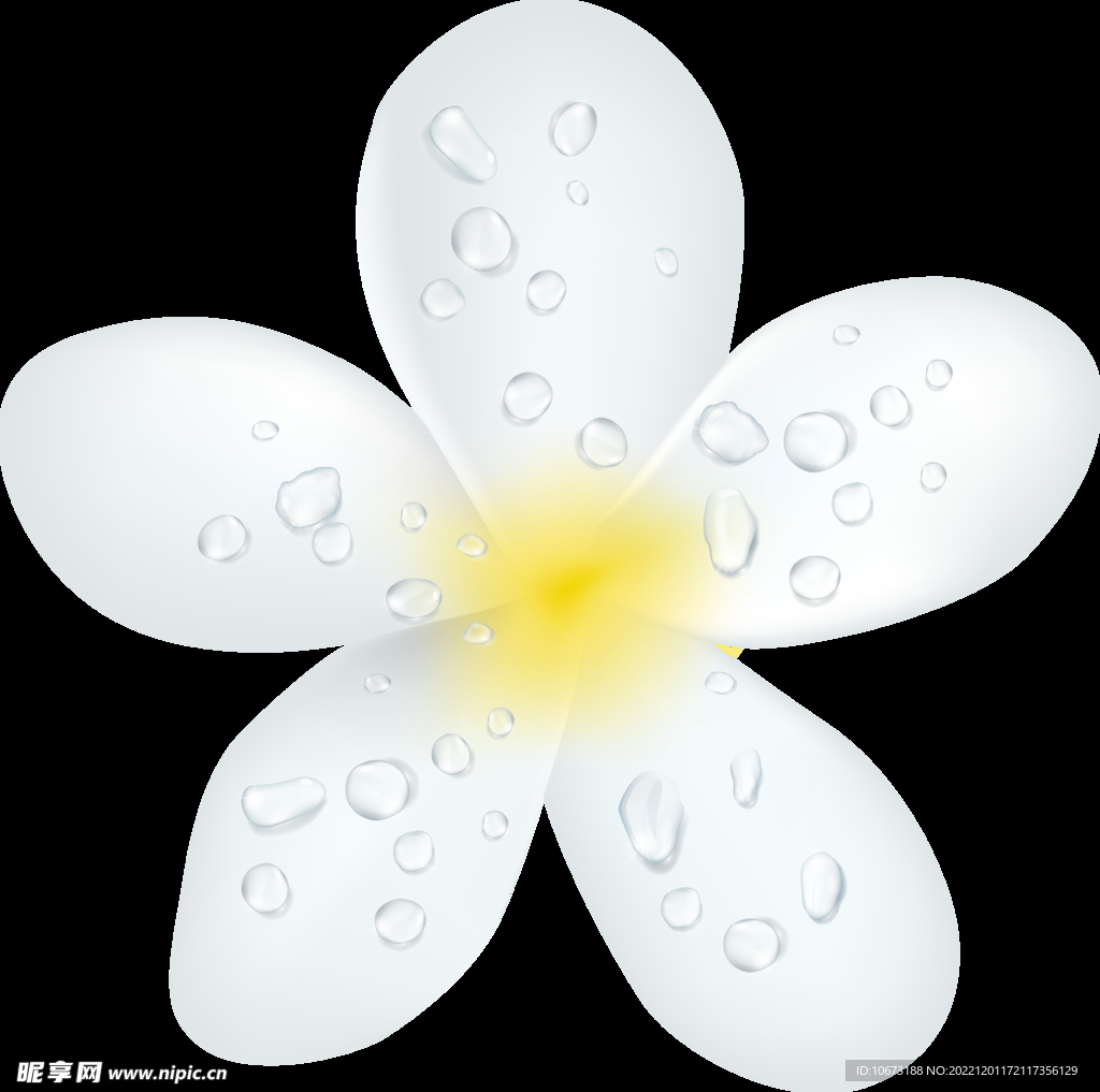 卡通手绘花卉