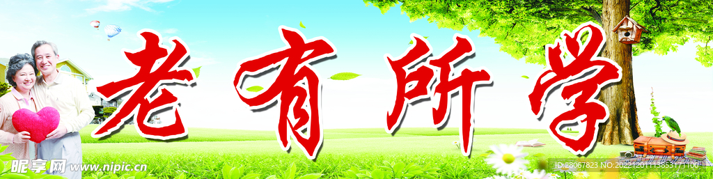 老有所学
