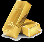 30克矢量金条