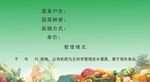 温室蔬菜