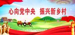 心向党中央   振兴新乡村