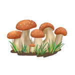可爱卡通小蘑菇