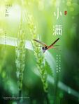 小满
