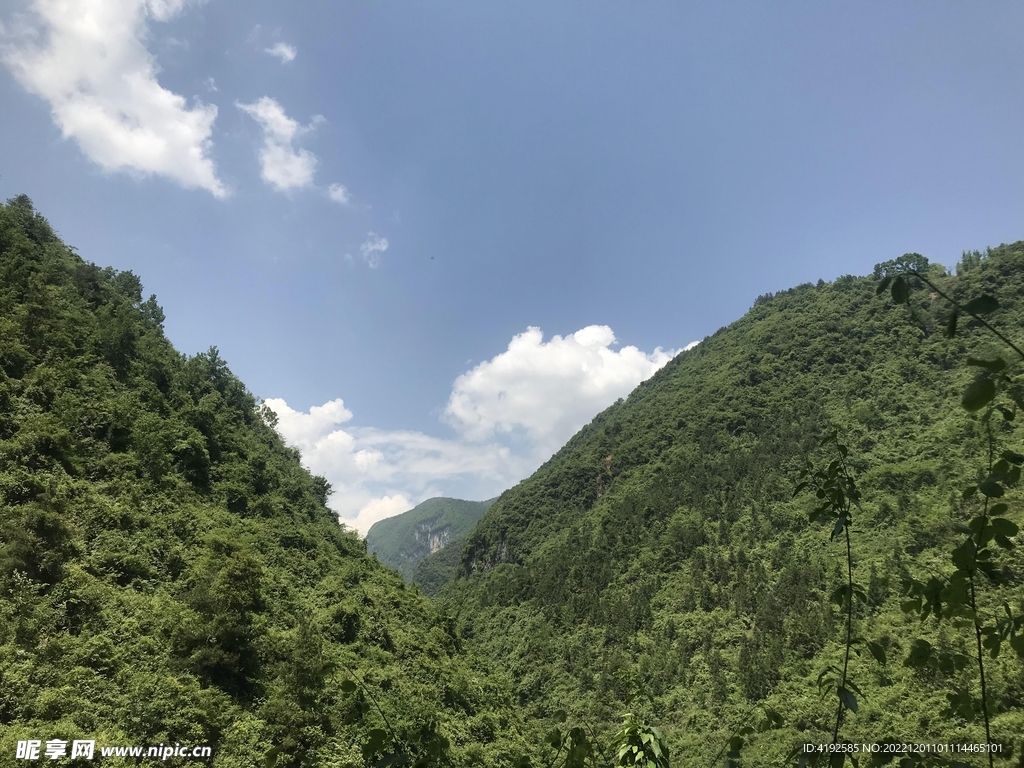 风景