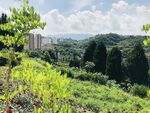 风景