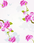 花朵底纹背景图片