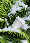 绿植咖啡杯