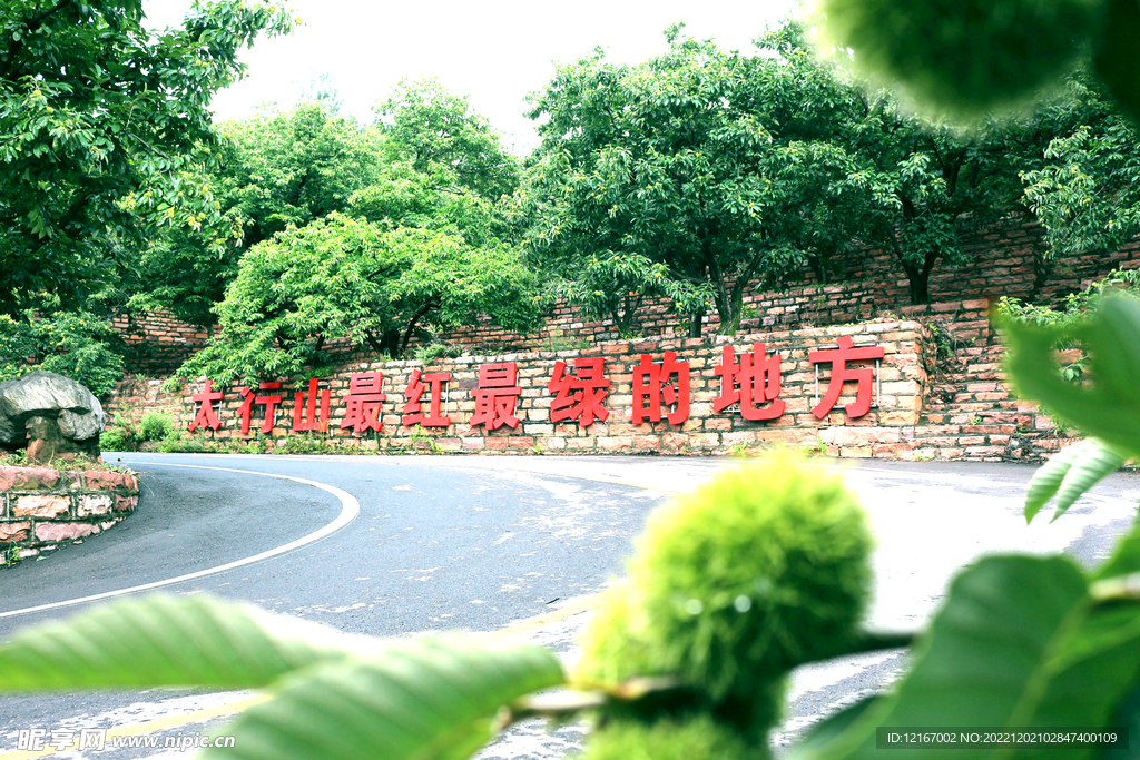 太行山最绿的地方