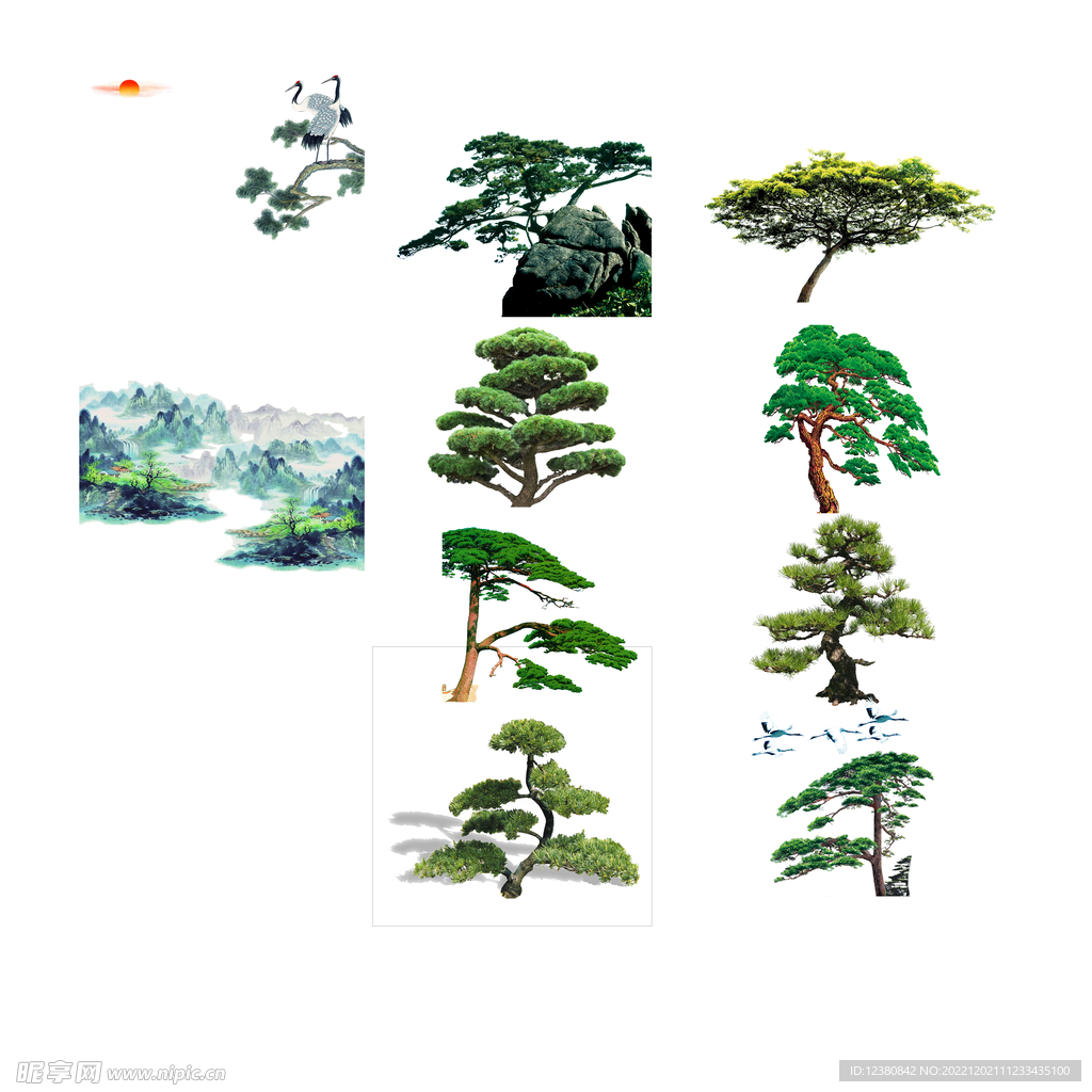 松树