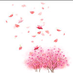花瓣