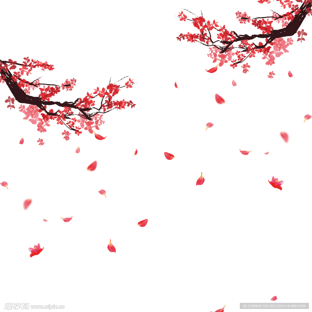 梅花