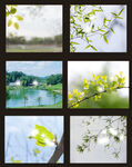 风景图
