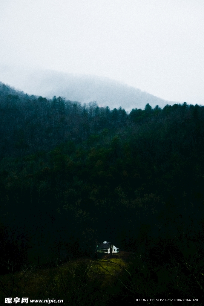 树林天空