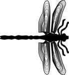 蜻蜓AI线框图