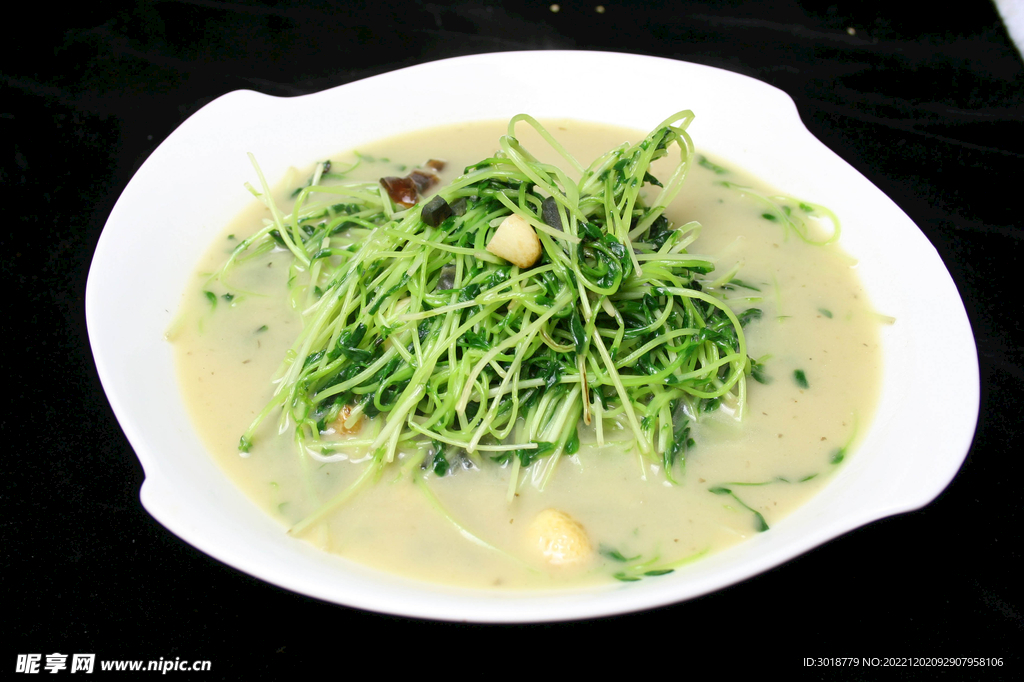 上汤豆苗