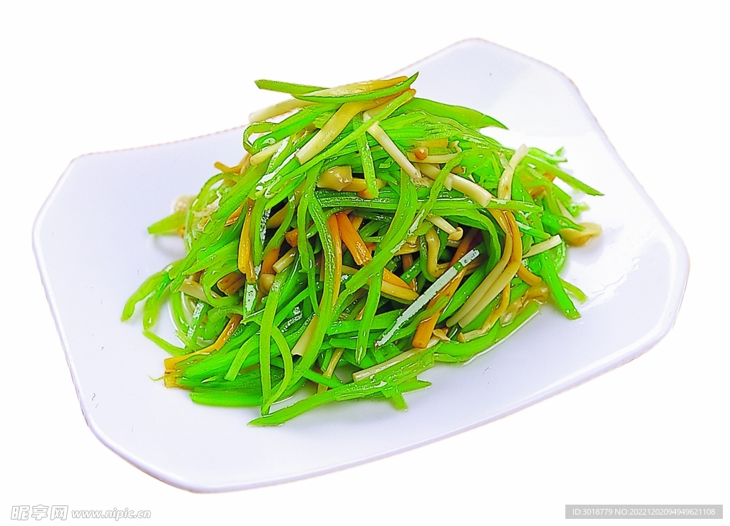 荷兰金针菇