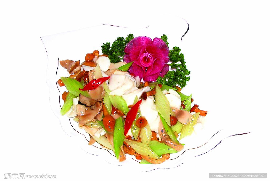 西芹三菌