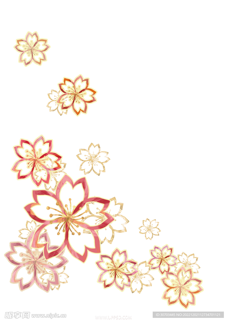 红色的花