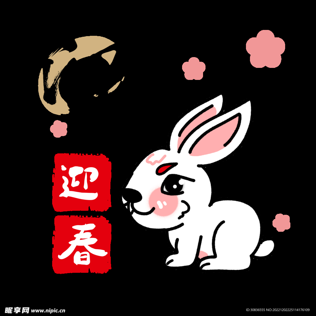 兔年