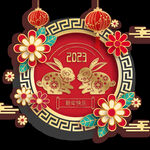 兔年 