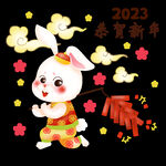 兔年 