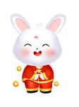 兔年
